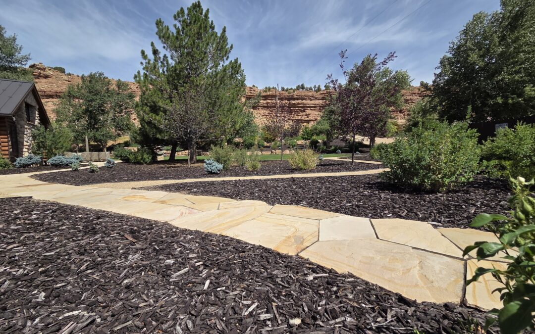 Proper Weed Control Tips and Tricks