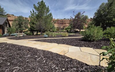 Proper Weed Control Tips and Tricks