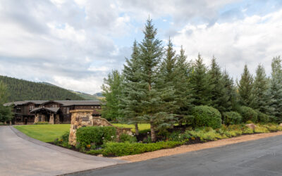 Why is Pruning So Important? – Reasons for Proper Tree Pruning